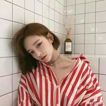 我眼中的豆荚