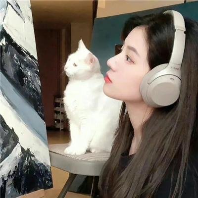 鞋猫剑客